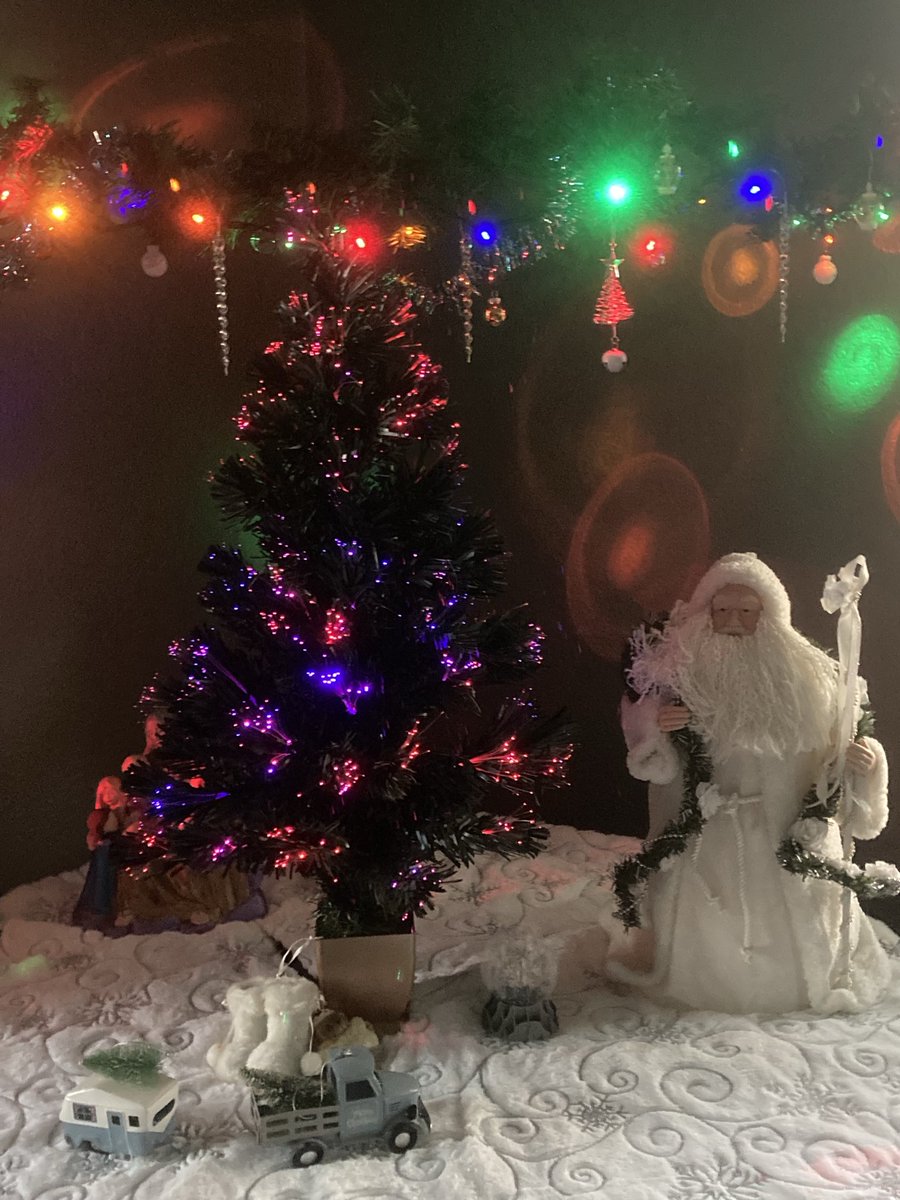 wolferspebs's tweet photo. My Christmas up lol have a great day https://t.co/teN74whqwp