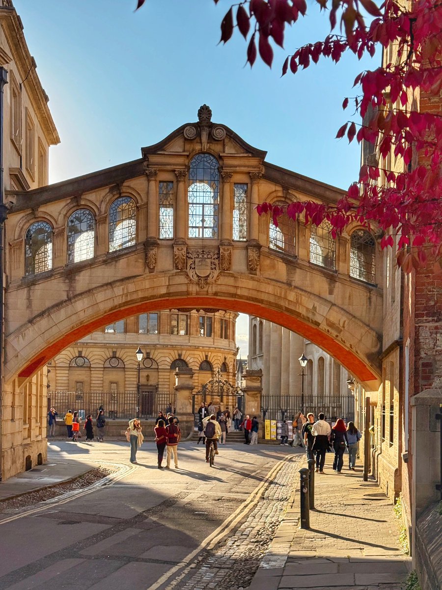 UniofOxford's tweet photo. The colours of autumn at Oxford 🍂

📷 | @Petros_Spanou https://t.co/QZMsXeaJdC