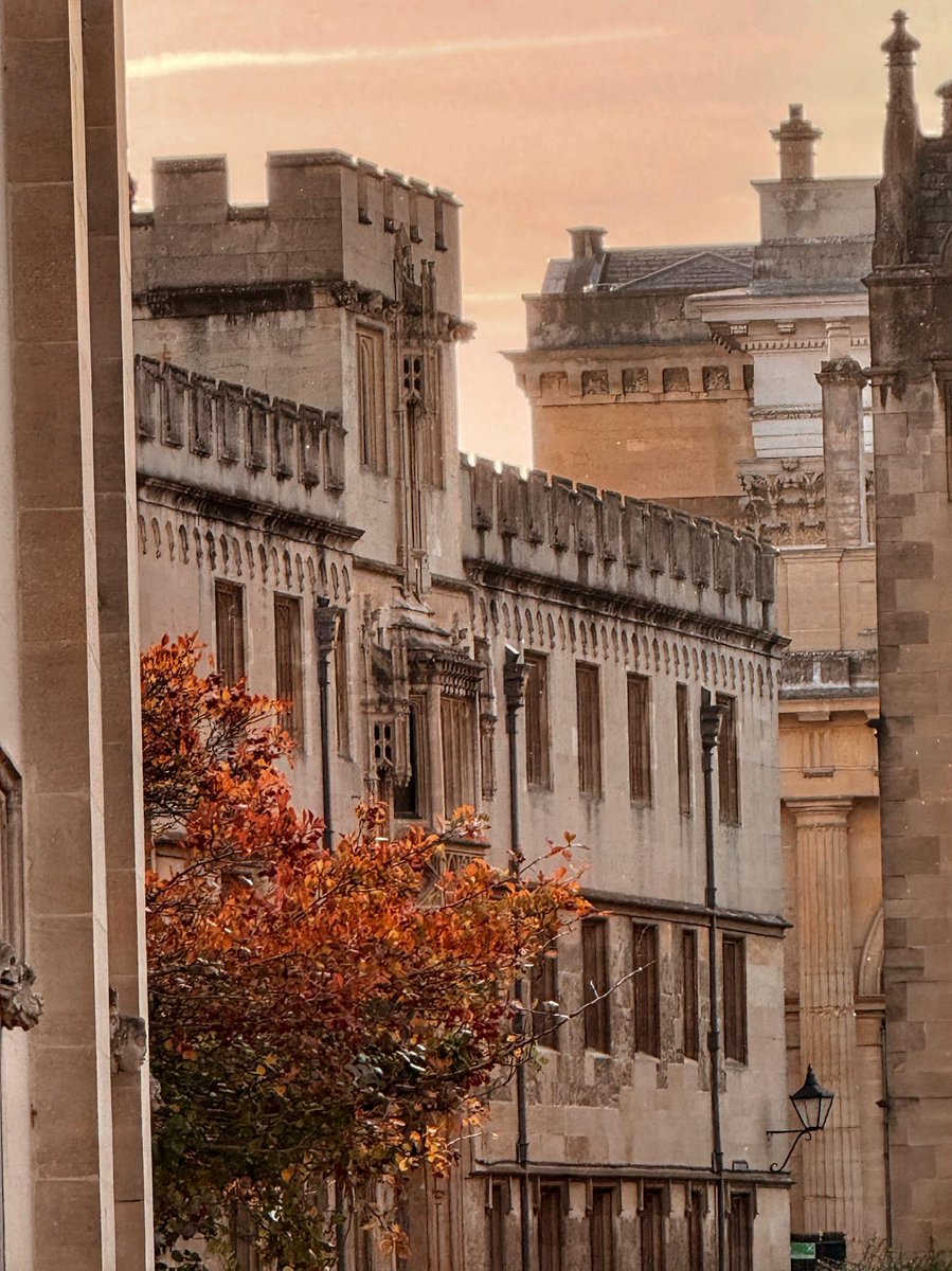 UniofOxford's tweet photo. The colours of autumn at Oxford 🍂

📷 | @Petros_Spanou https://t.co/QZMsXeaJdC