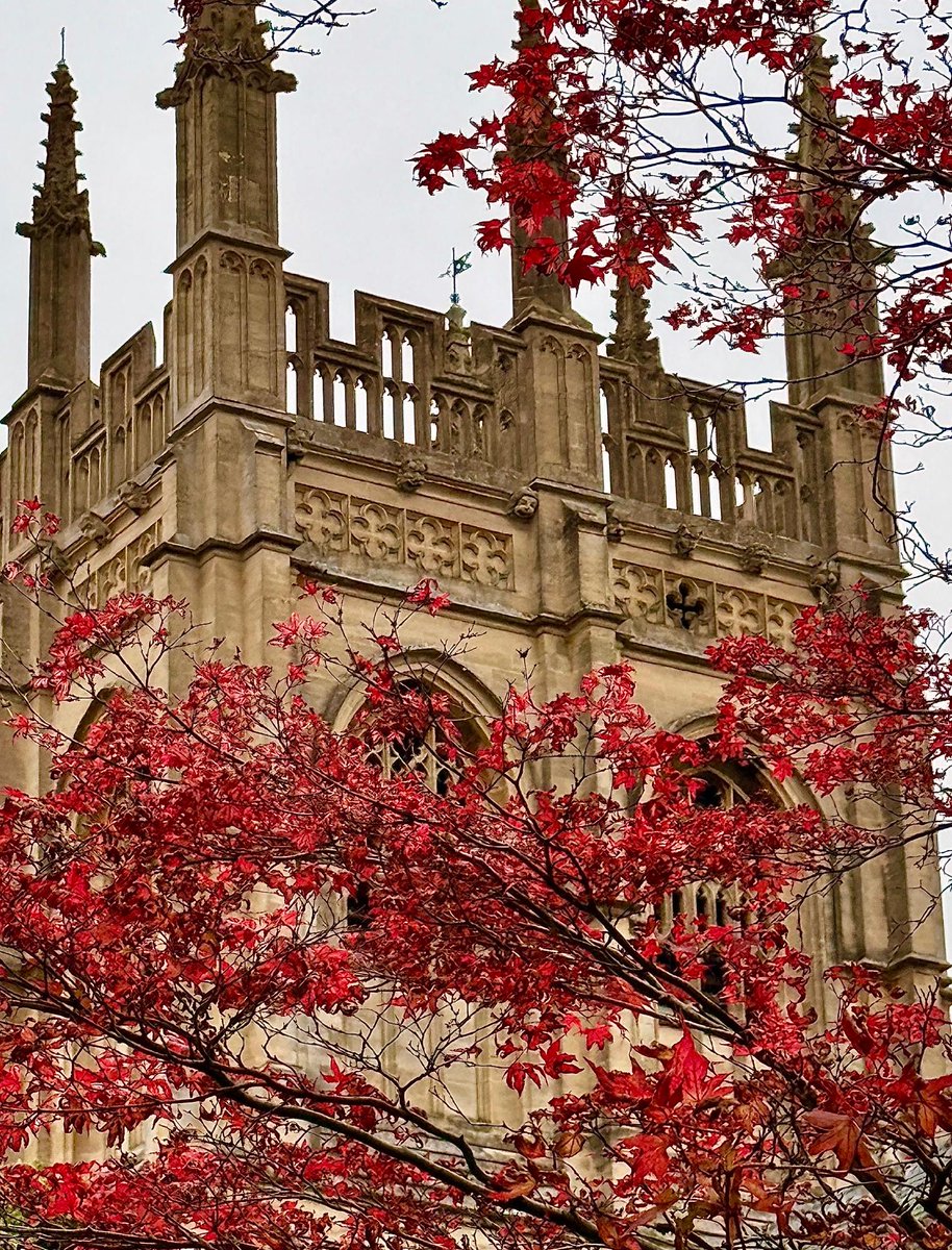 The colours of autumn at Oxford 🍂

📷 | @Petros_Spanou