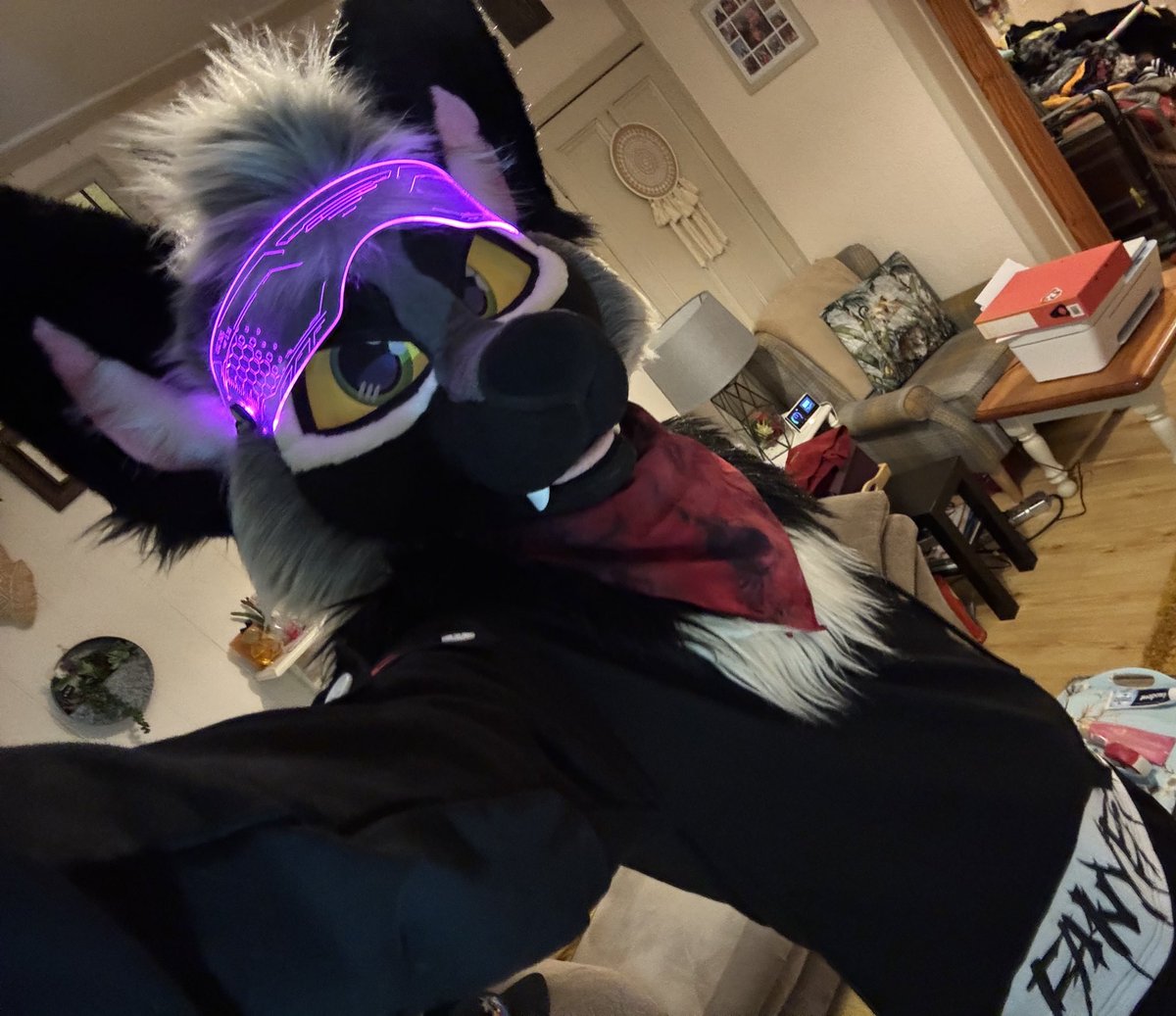 🌿Fern🌿 tweet media