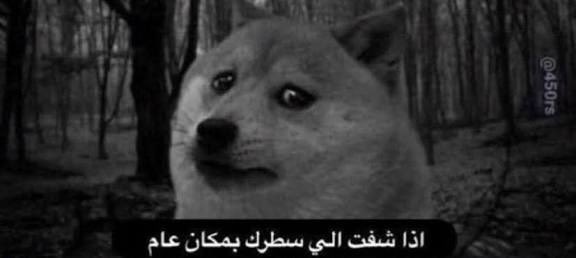 TURKI | UFC (@s7to4r) on Twitter photo 