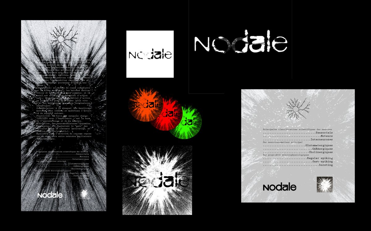 Elfram_'s tweet image. Recherches et expérimentations graphiques  EXP02NDLE21202025⚙️🧪🧭