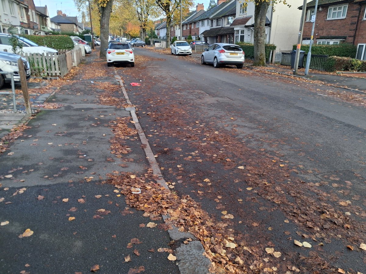 Mick Brown (@mickbrown3) on Twitter photo In Croydon Rd talking to residents about the issues raised last week. KIER had agree to come to inspect some of the trees that are now so big that their roots are cracking the pavement and causing trip hazards. Pleased to see <a href="/BhamCityCouncil/">Bham City Council</a>  has already started to clear leaves. In Croydon Rd talking to residents about the issues raised last week. KIER had agree to come to inspect some of the trees that are now so big that their roots are cracking the pavement and causing trip hazards. Pleased to see <a href="/BhamCityCouncil/">Bham City Council</a>  has already started to clear leaves.