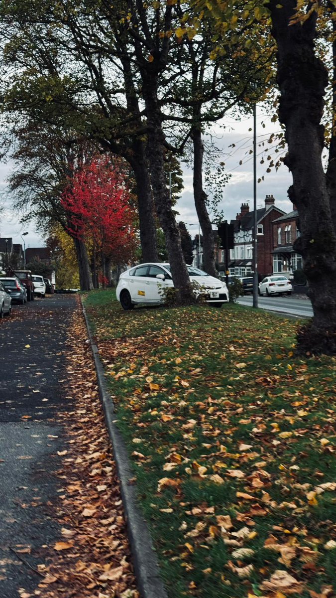 Mick Brown (@mickbrown3) on Twitter photo Out in Gravelly Hill this morning with the Erdington Litter Busters Team and saw this example of inconsiderate parking. Have reported to <a href="/BhamCityCouncil/">Bham City Council</a> parking enforcement team. Out in Gravelly Hill this morning with the Erdington Litter Busters Team and saw this example of inconsiderate parking. Have reported to <a href="/BhamCityCouncil/">Bham City Council</a> parking enforcement team.