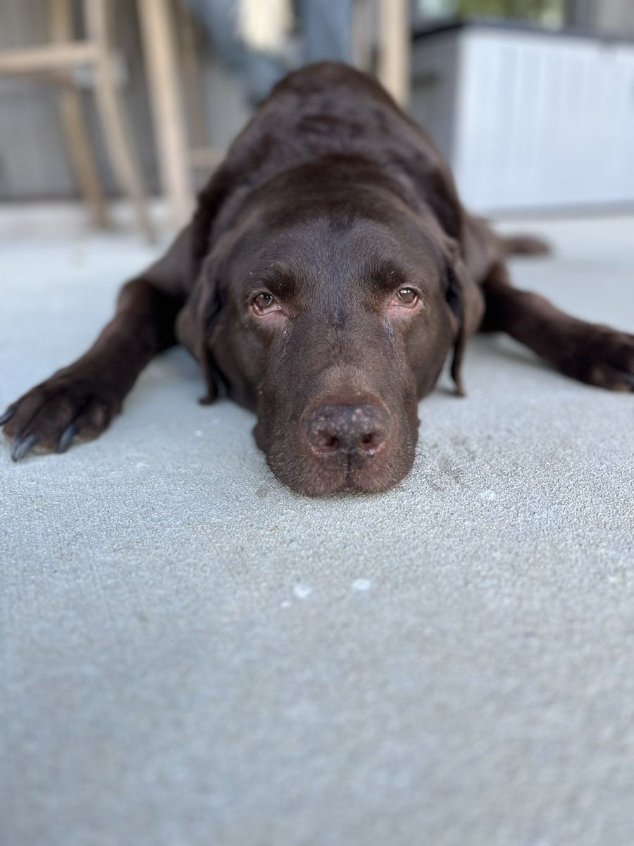 🇺🇸CynVoted4This🇺🇸MAGA🇺🇸 tweet media