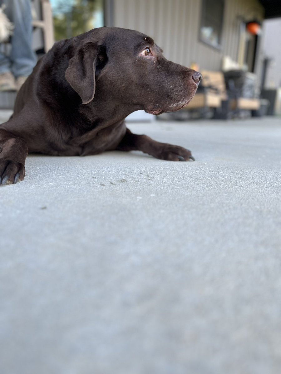 🇺🇸CynVoted4This🇺🇸MAGA🇺🇸 tweet media