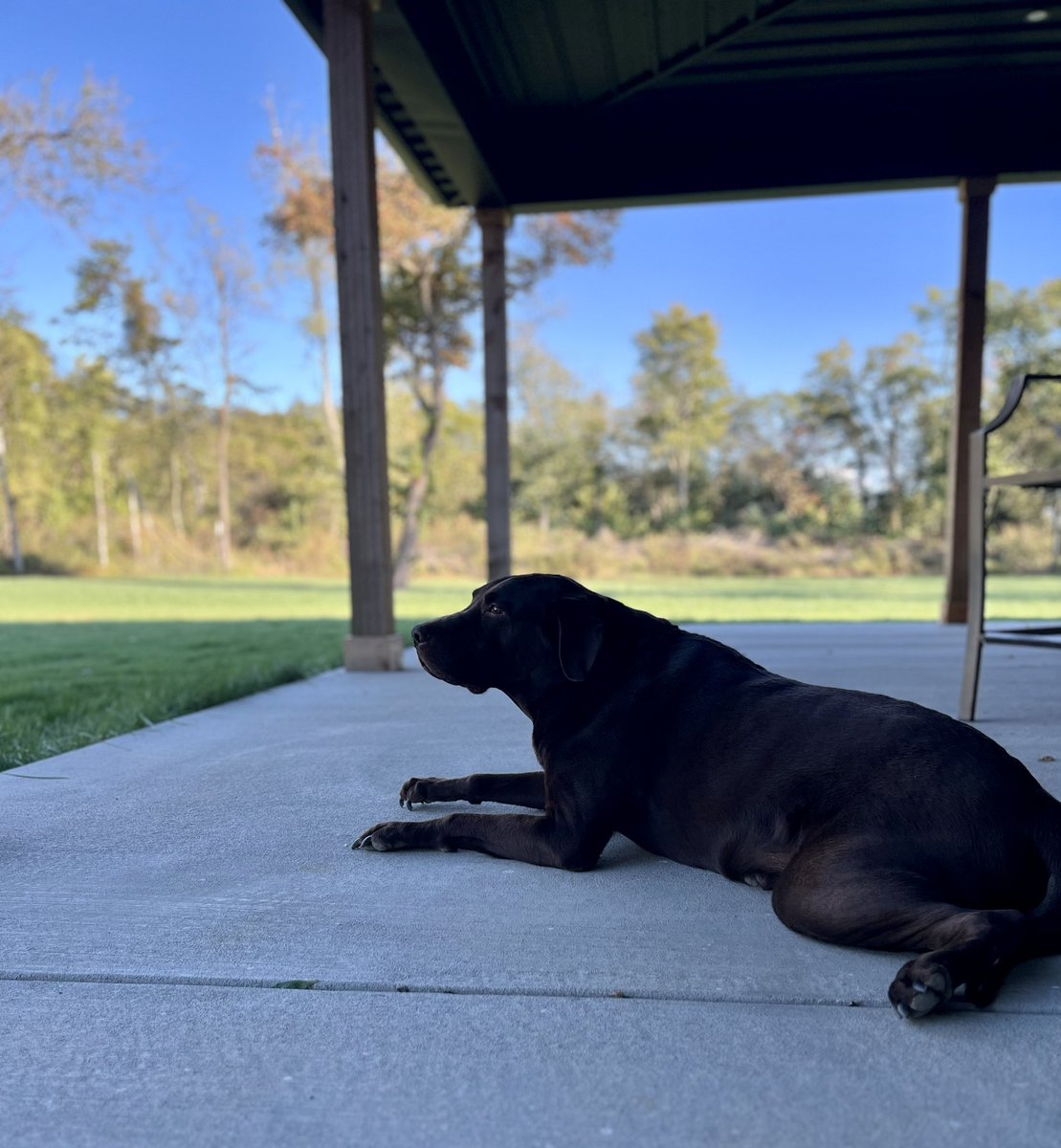 🇺🇸CynVoted4This🇺🇸MAGA🇺🇸 tweet media