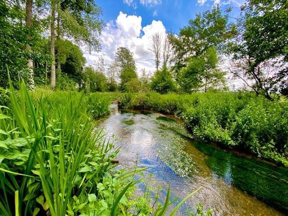 LABOUR SCRAPS PLAN TO PROTECT CHALK STREAMS.

Labour have scrapped the rescue initiative known as the Chalk Stream Recovery Pack (CSRP).

Chalk streams are globally rare, unique and valuable habitats, with only 200 remaining in the world, 85% in England.

Labour should be ashamed