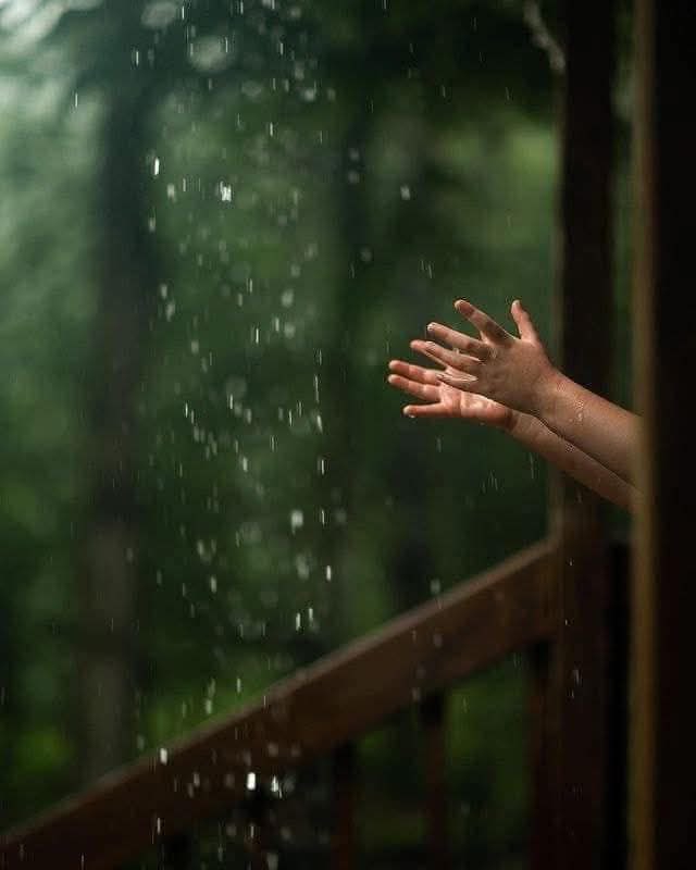 #ومضه_حرف 

من المؤسف أن نوايا الناس لا تشبه أشكالهم... 
          والمؤسف أكثر ... 
أن أشكال الناس توقعنا في فخ نواياهم...

#المجموعه_الدعويه 
#دخون_الدعوة 
#الكلم_الطيب 
#طيب_أثرك