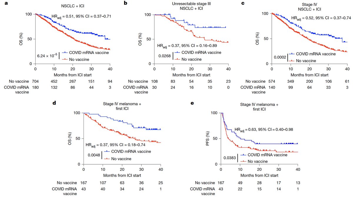 Adam Grippin tweet media