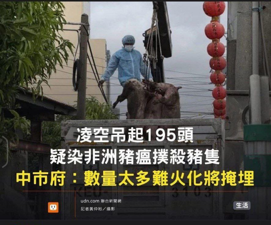 台中市政府就是故意的信不信，一百多頭就說沒辦法只好隨便處理，這些垃圾怎麼不去活一活

udn.com/news/story/726…