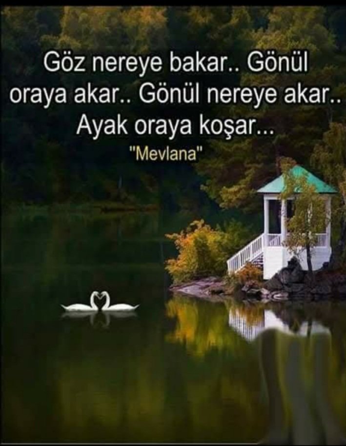 Göz nereye bakar..Gönül oraya akar..Gönül nereye akar..Ayak oraya koşar...
"Mevlana"