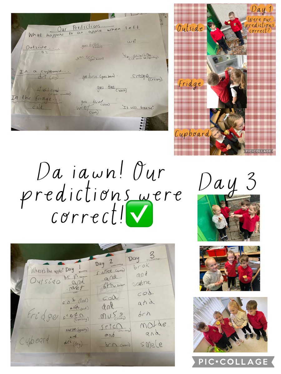 Dosbarth Un have taken part in a science experiment. Dosbarth Un decided they wanted to find out what happened to an apple when placed in different areas in and out of the classroom. We learnt a new word, ‘predictions.’ 🍎<a href="/garntegprimary/">Garnteg Primary</a> <a href="/Miss_Mitchell20/">Miss.Mitchell</a> <a href="/misssgilbey95/">@mrssgilbeylarge</a>