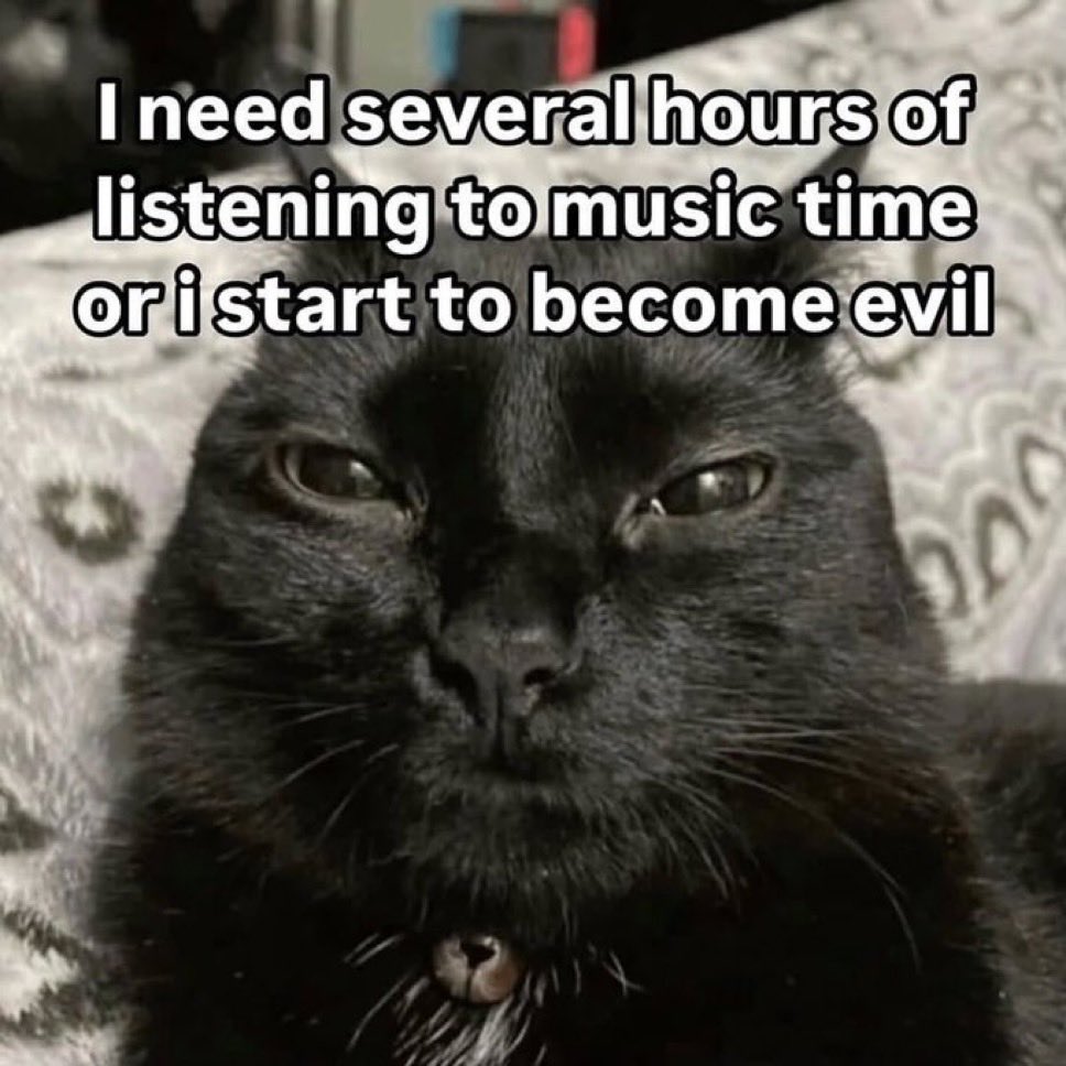 LiterallyMeCats (@literallymecats) on Twitter photo 