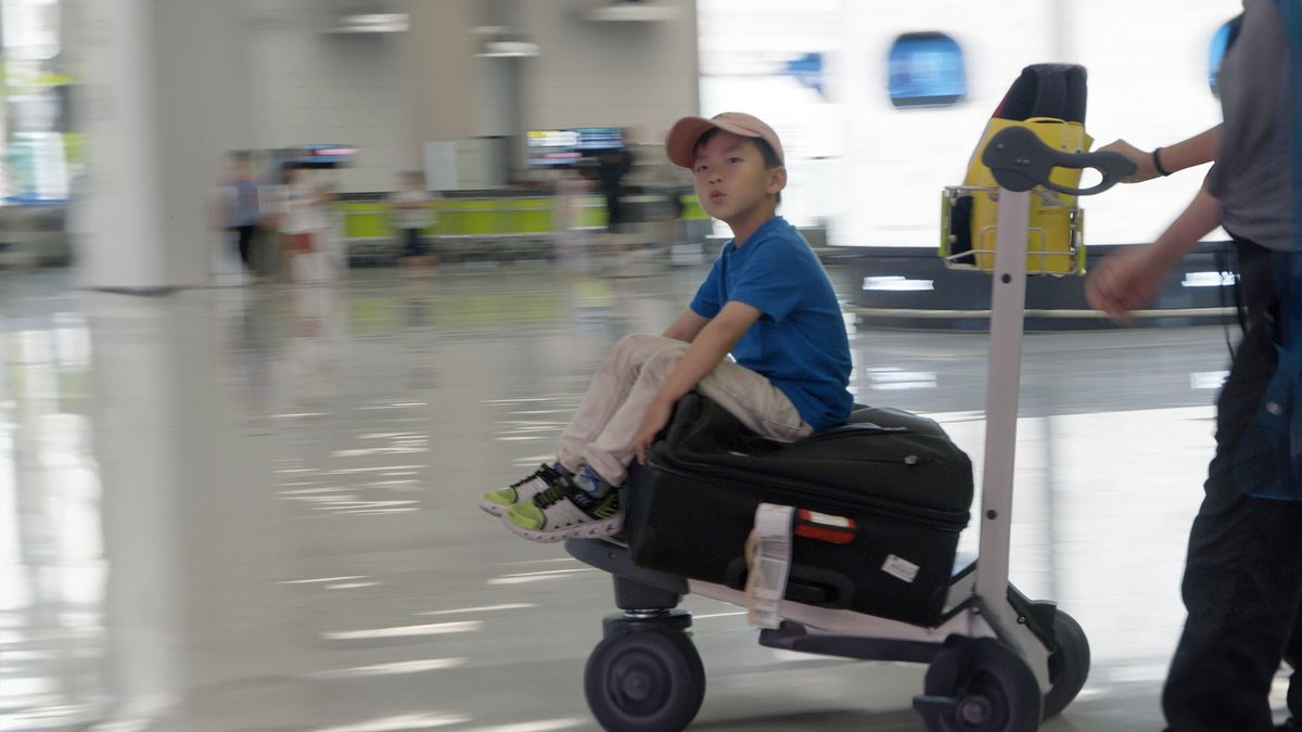 Vanderlande's tweet image. To prep an aircraft for its next journey, #GroundHandling has to coordinate many tasks in very tight time – including the fast unloading of bags from ULDs. This step is still carried out manually at most airports worldwide. 🛫🧳 Get to know our VarioTip: vanderlande.com/news-insights/…