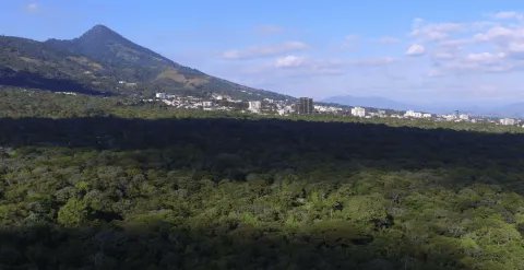 #MedioAmbiente| La zona sur de El Espino, donde se construirá CIFCO, es el hábitat de al menos 83 especies de aves nativas y migratorias, según la base de datos elaborada por eBird, una plataforma de un laboratorio que estudia las aves.

📷 Cortesía