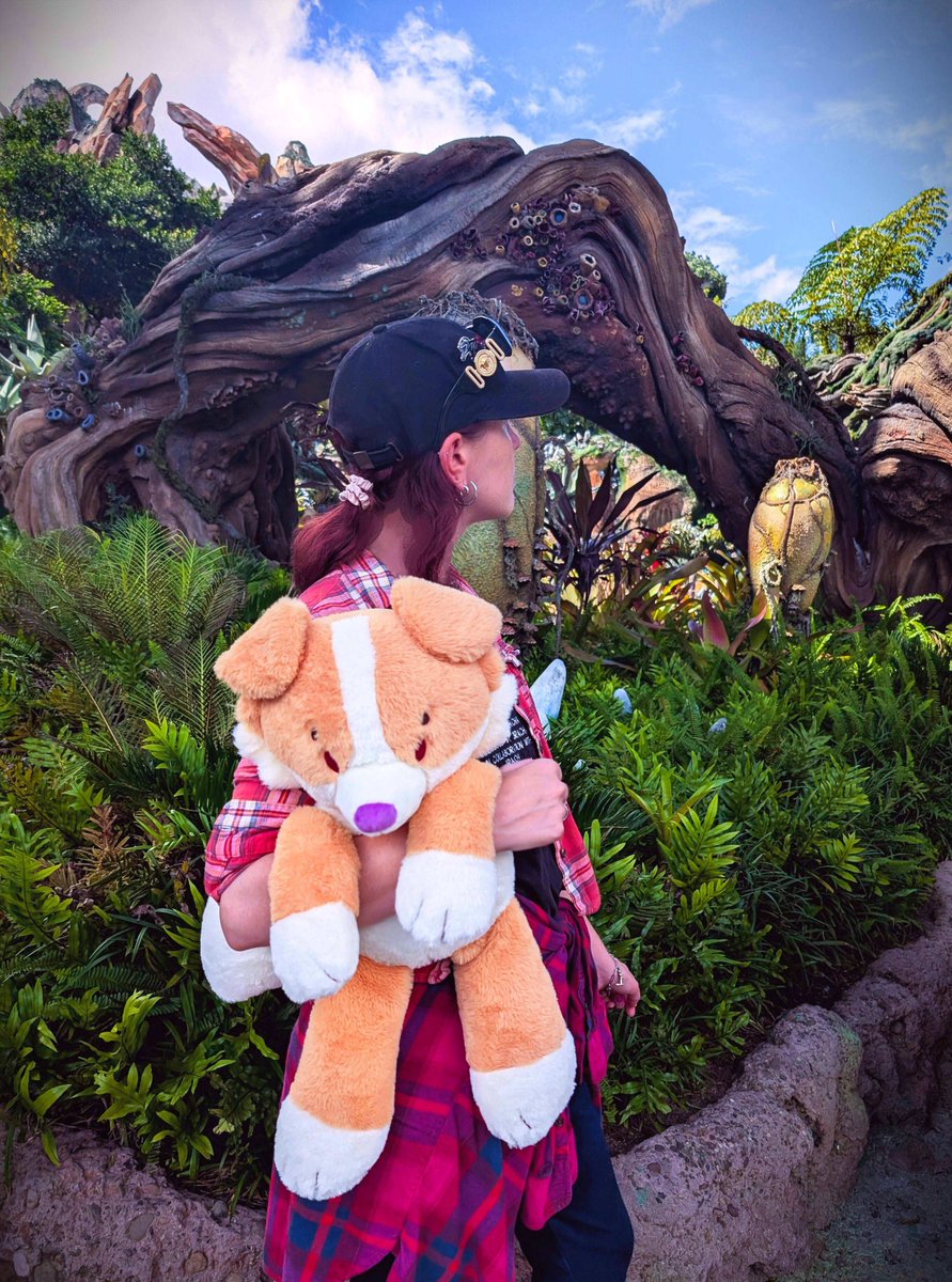 ✨⭐Little Softs公式⭐✨ tweet media