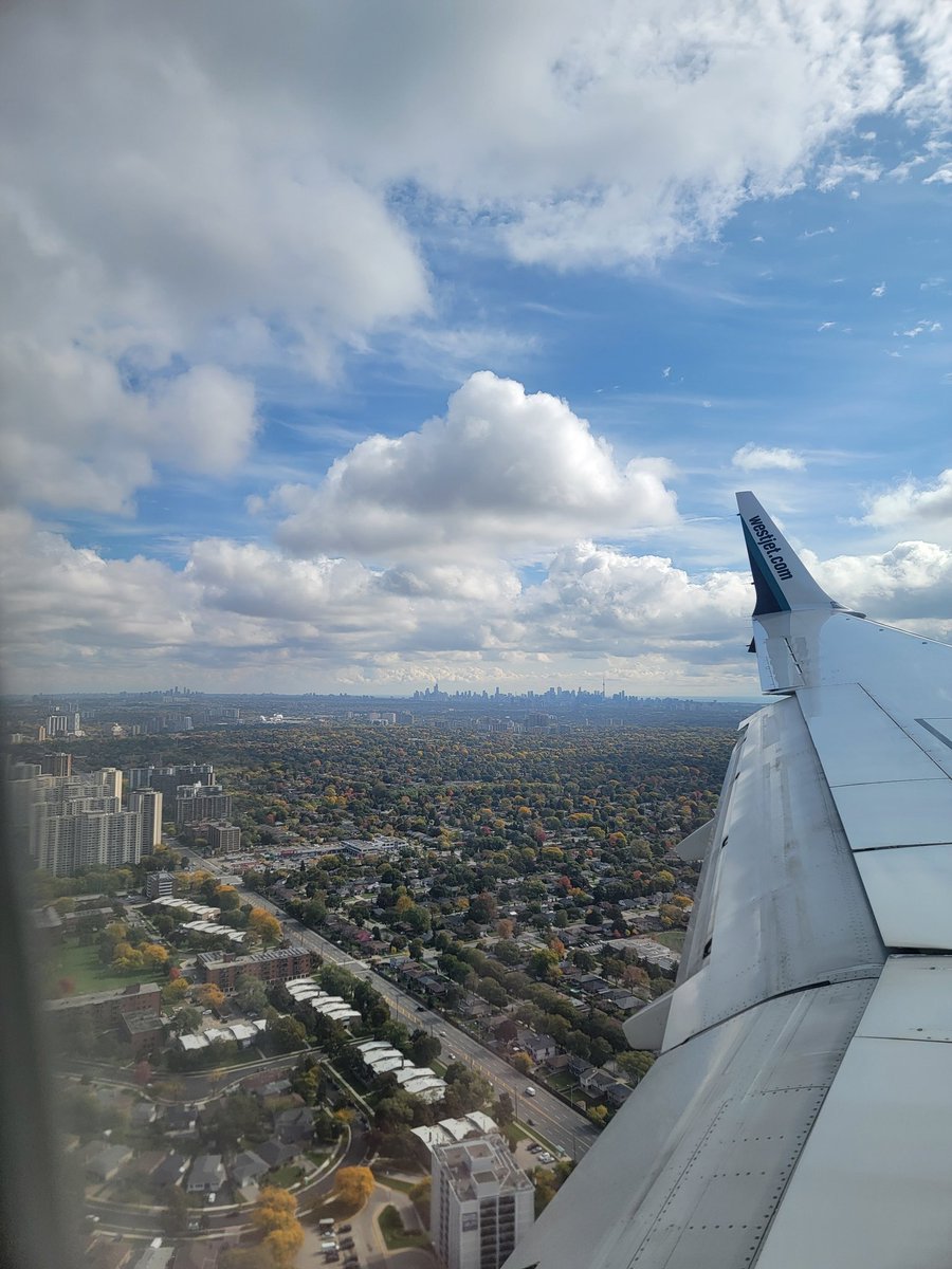 Dendritic_View's tweet image. There is a tower out there somewhere