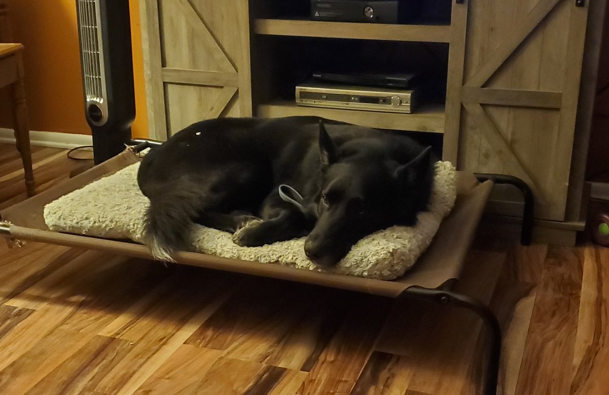 Lil Xanarchist tweet media