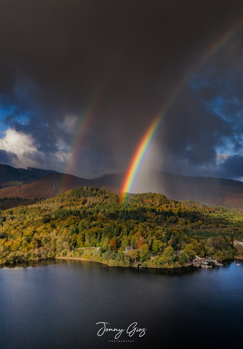 Jonny Gios tweet media