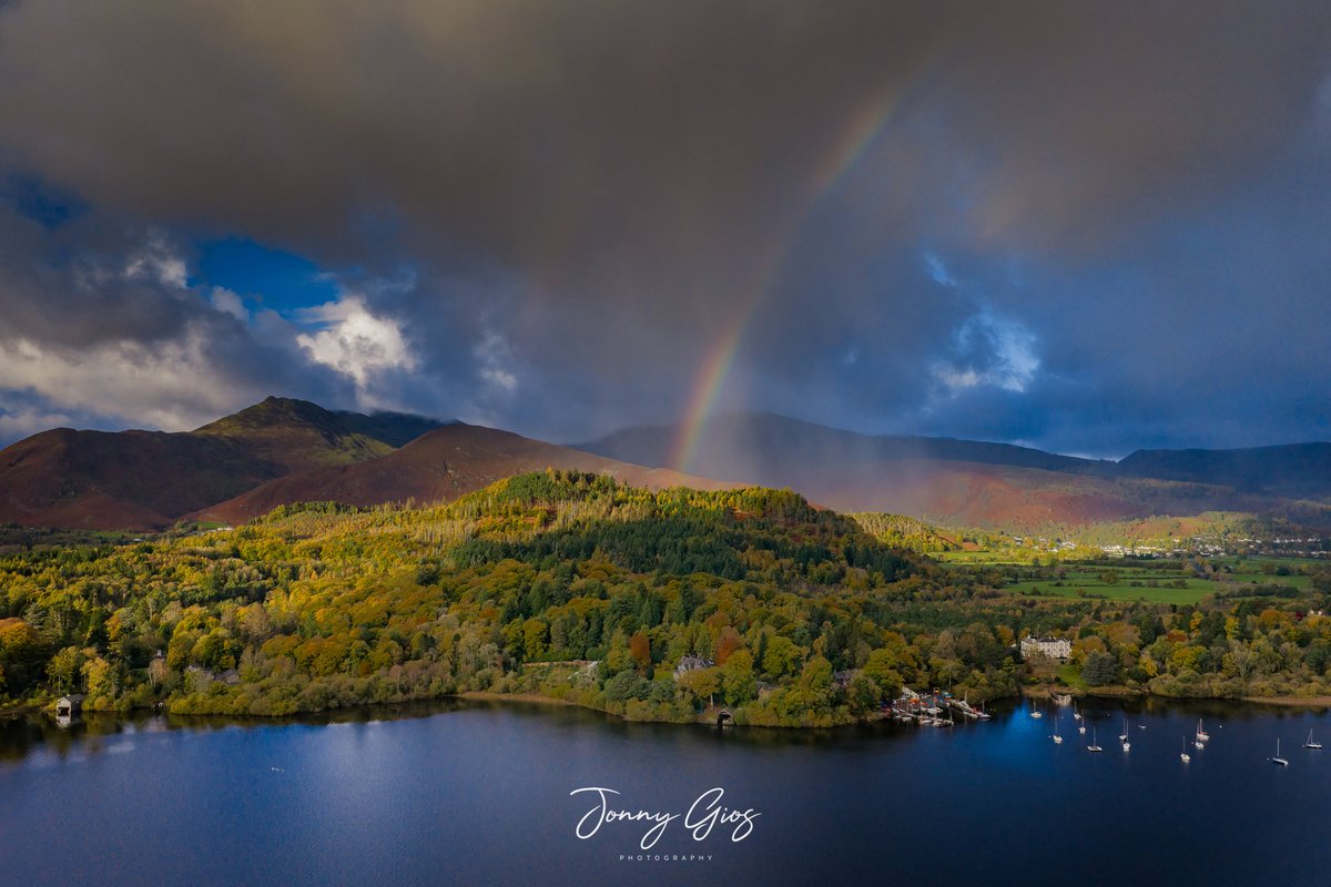 Jonny Gios tweet media