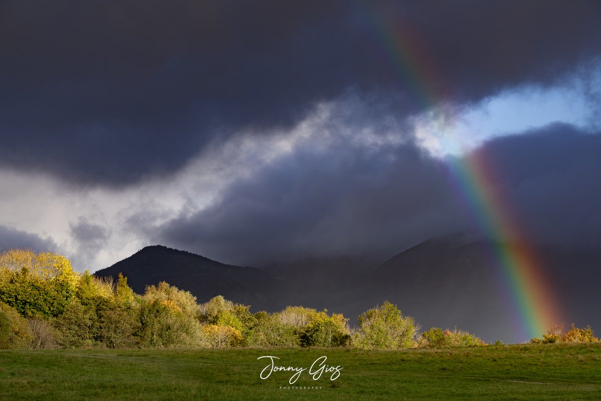 Jonny Gios tweet media