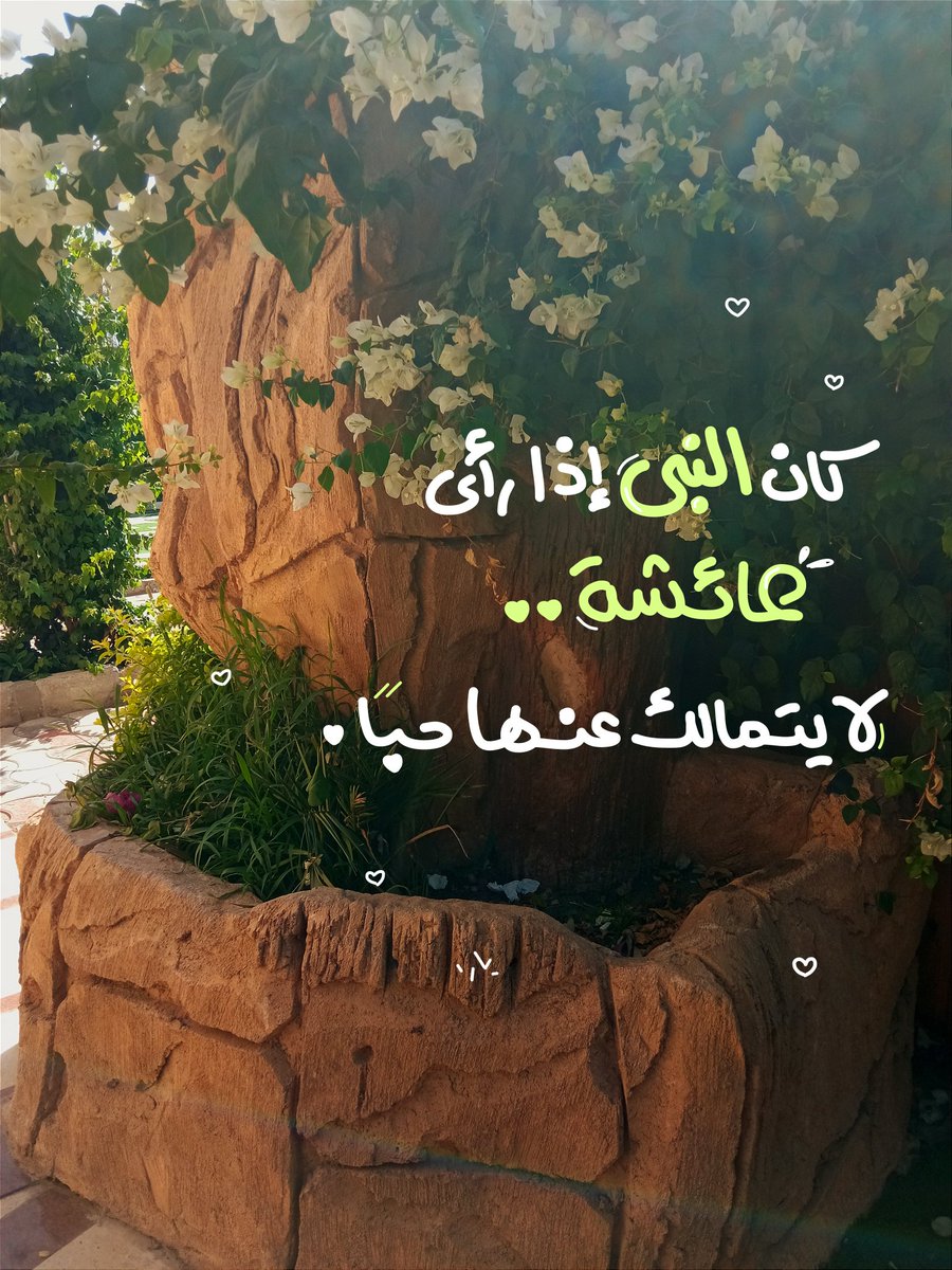 كَانَ النبيُّ ﷺ إذا رَأى عائِشةَ لا يَتمالَكُ عَنْهَا حُبًّا. 

- أم سلَمة رضيَ الله عَنها.