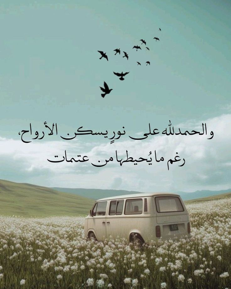 هُدُوء | سُكُون (@wn194) on Twitter photo 