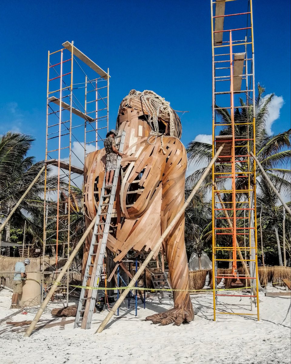 Daniel Popper tweet media