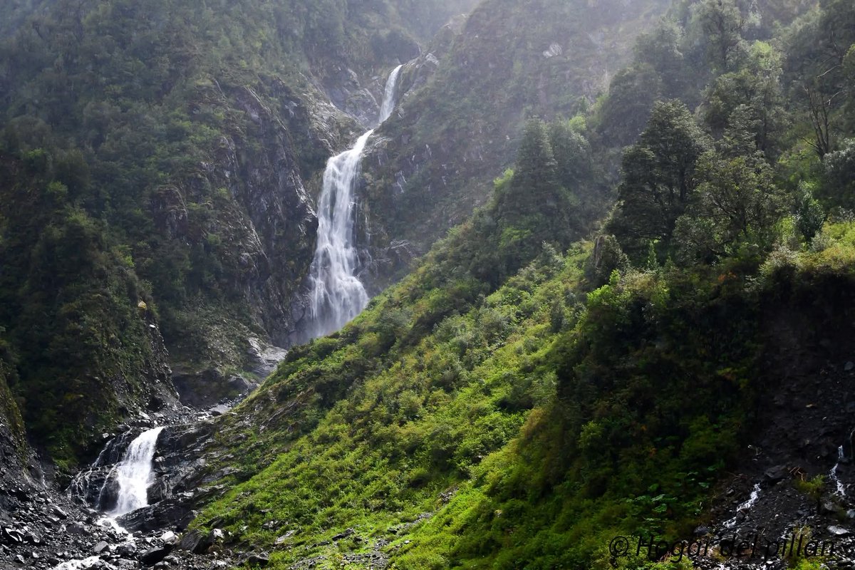 BachmannIsabel's tweet image. Bella Patagonia, región de Aysén.Chile