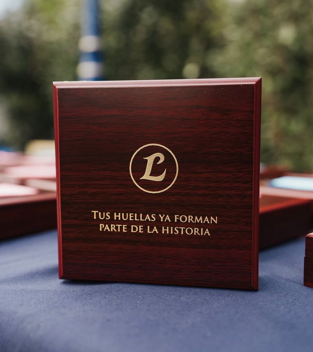 LedProjects's tweet image. Inauguración de #LegacyPlaza en @MAD4PADEL, un homenaje a las leyendas del pádel y a su legado.
Gracias a José Calvo Sotelo, Natalia Calvo Sotelo y Ángel Moreau por la invitación a un evento histórico.
En #LEDProjects seguimos iluminando el presente y el futuro del 20x10. 💡