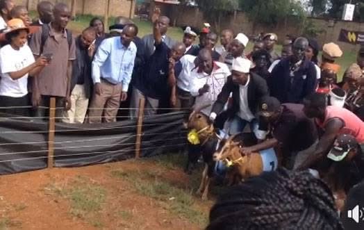 The loudmouth Gladys Wanga is the only governor in Nyanza with two offices.

She renovated the old governor’s office for KSh 200 million and launched it in 2023. But that wasn’t opulent enough, she went on to spend another KSh 1 billion on a new office, opened this year by