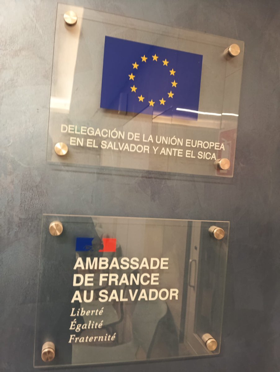 PalmaTools's tweet photo. @gruver_martin, director de Medios de Pagos de @ticmoveo, ha formado parte del comité de expertos de la Comisión Europea en El Salvador.

El comité ha colaborado con el Ministerio de Obras Públicas y el Viceministro de Transportes para la mejora del transporte público del país. https://t.co/6zFQAdCVe5