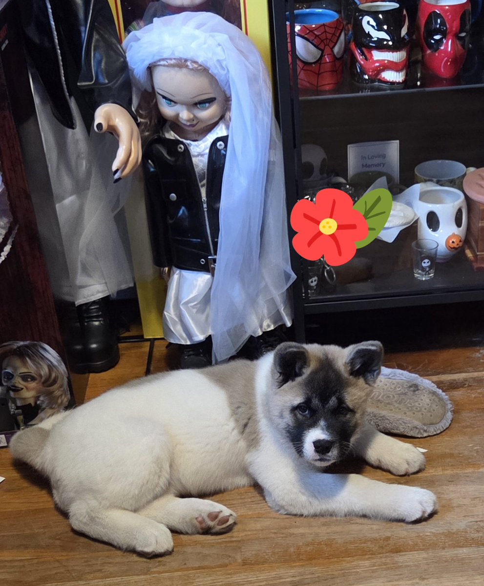 Happy Wednesday Everyone!!! Someone not happy from being woke up from her morning nap.  Hope you have a great day!! 💋💋