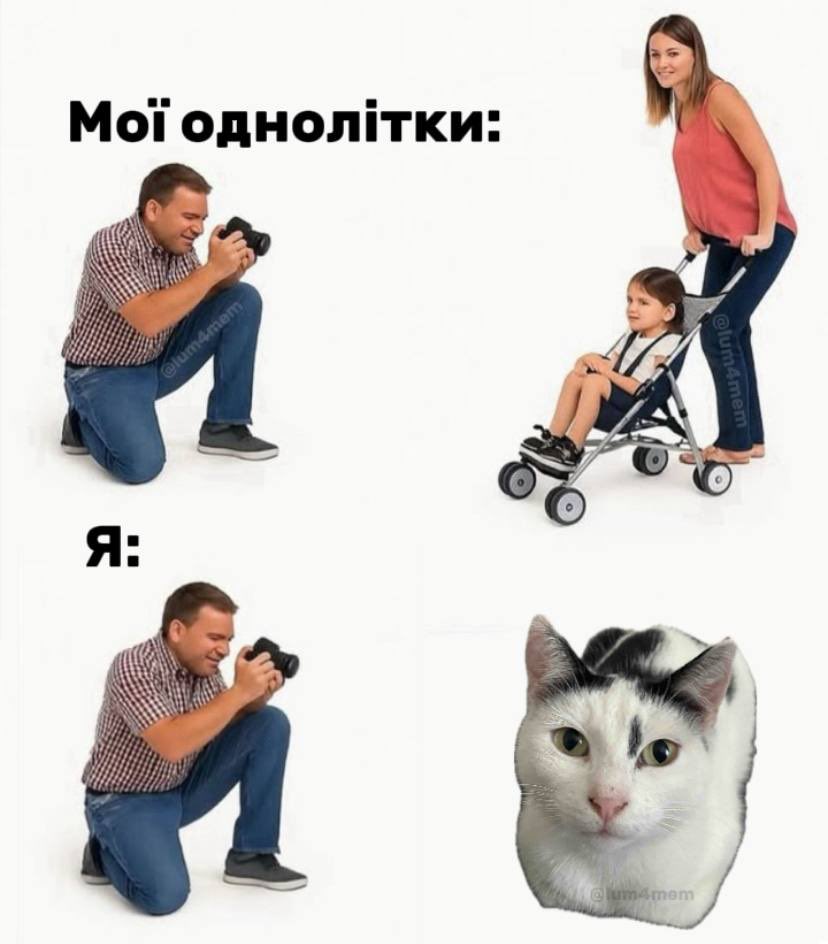 бро скинул мем (@bromemss) on Twitter photo 