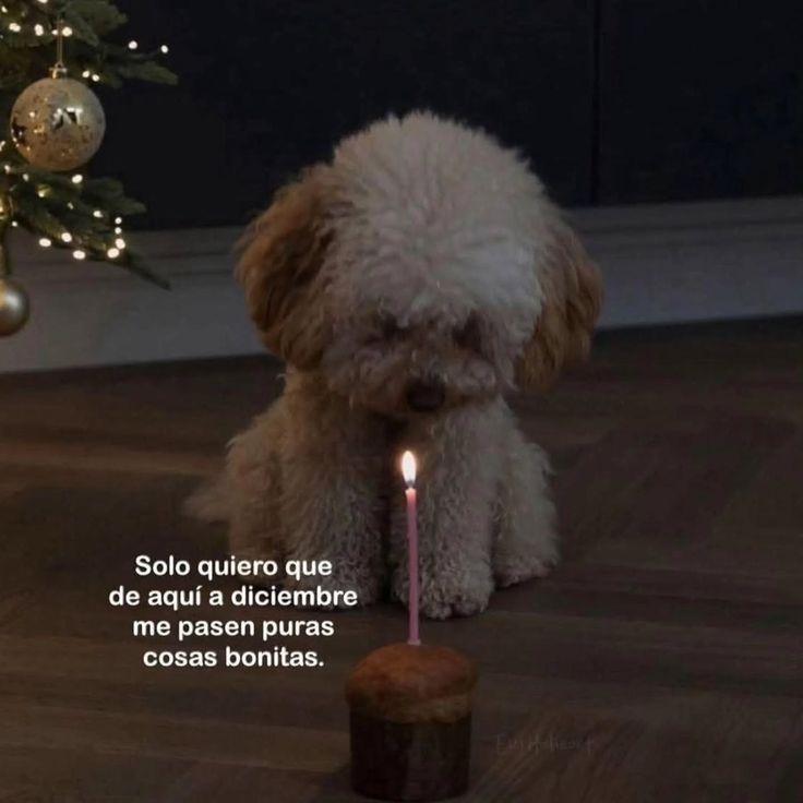 Ojalá para todos mis mutuals 💖✨
