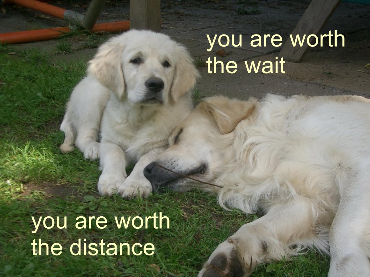 fatalplants's tweet image.