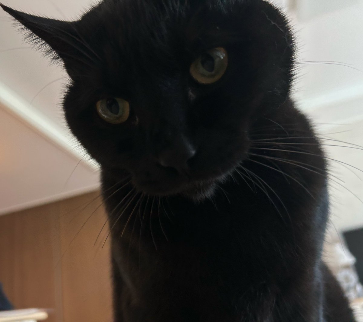 누나 일어나
시험기간이잖아