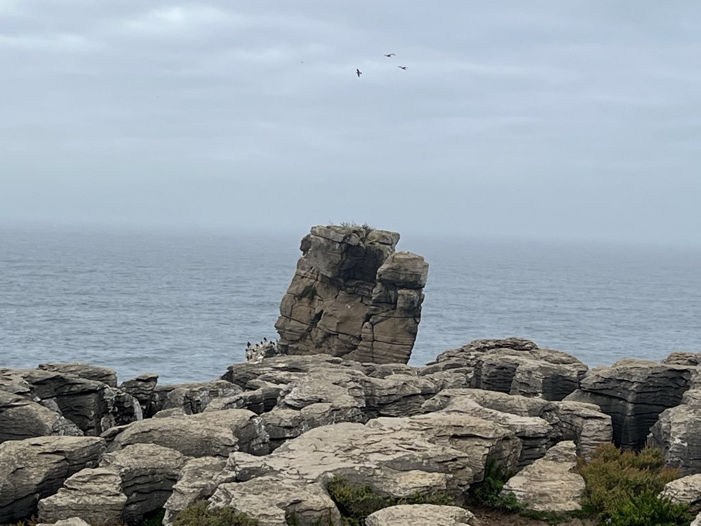 Cowgirl do Oeste tweet media