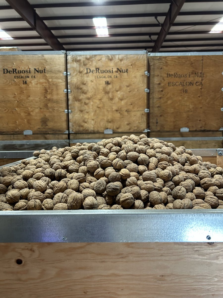 Tokenization isn’t about speculation, it’s about representation.
Each $AMOND or $WLNT token represents a pound of certified California almonds or walnuts, traceable from processor to export.

We’re digitizing trust in agriculture, one crop at a time.

#RWA #AgOnChain