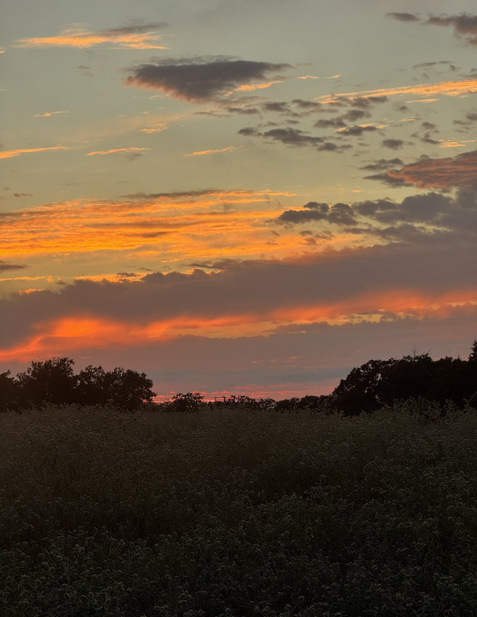Last evening’s stunning sunset 🌅 &amp; wine 🍷 Pagos del Rey Arnegui Reserva 2017 Rioja • Spain 🇪🇸 100% Tempranillo 🍇 #delectable 😋