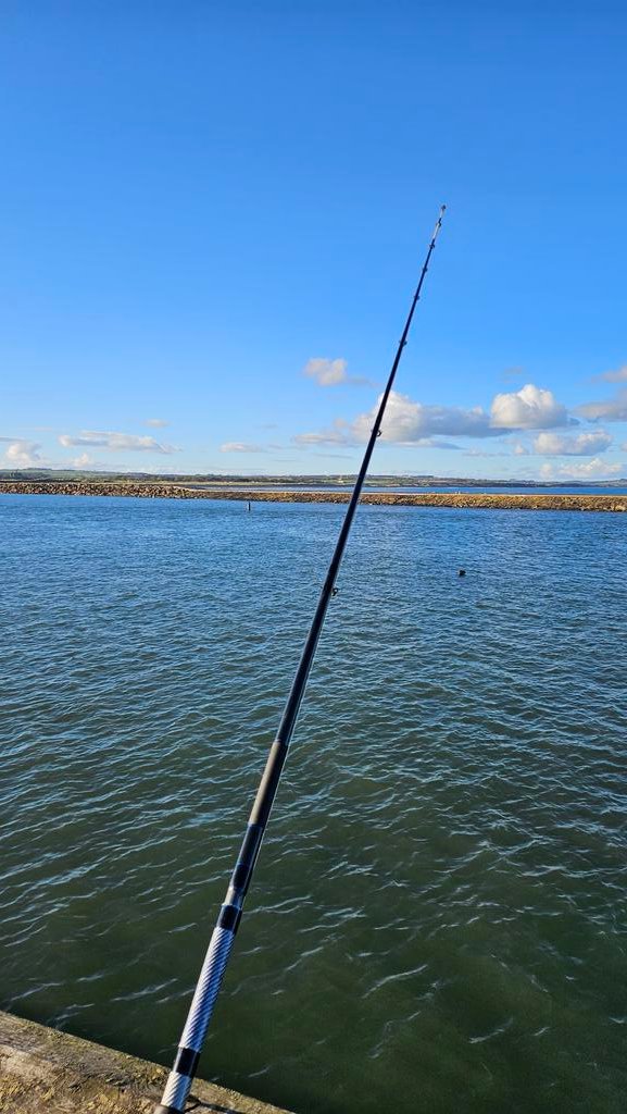 Beautiful afternoon fishing in Amble. Spot the Seal after my codling!