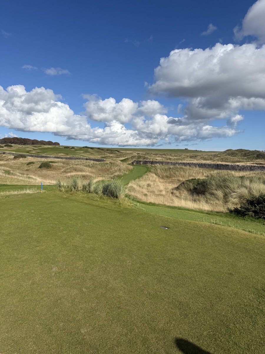 aliogg_77 tweet media