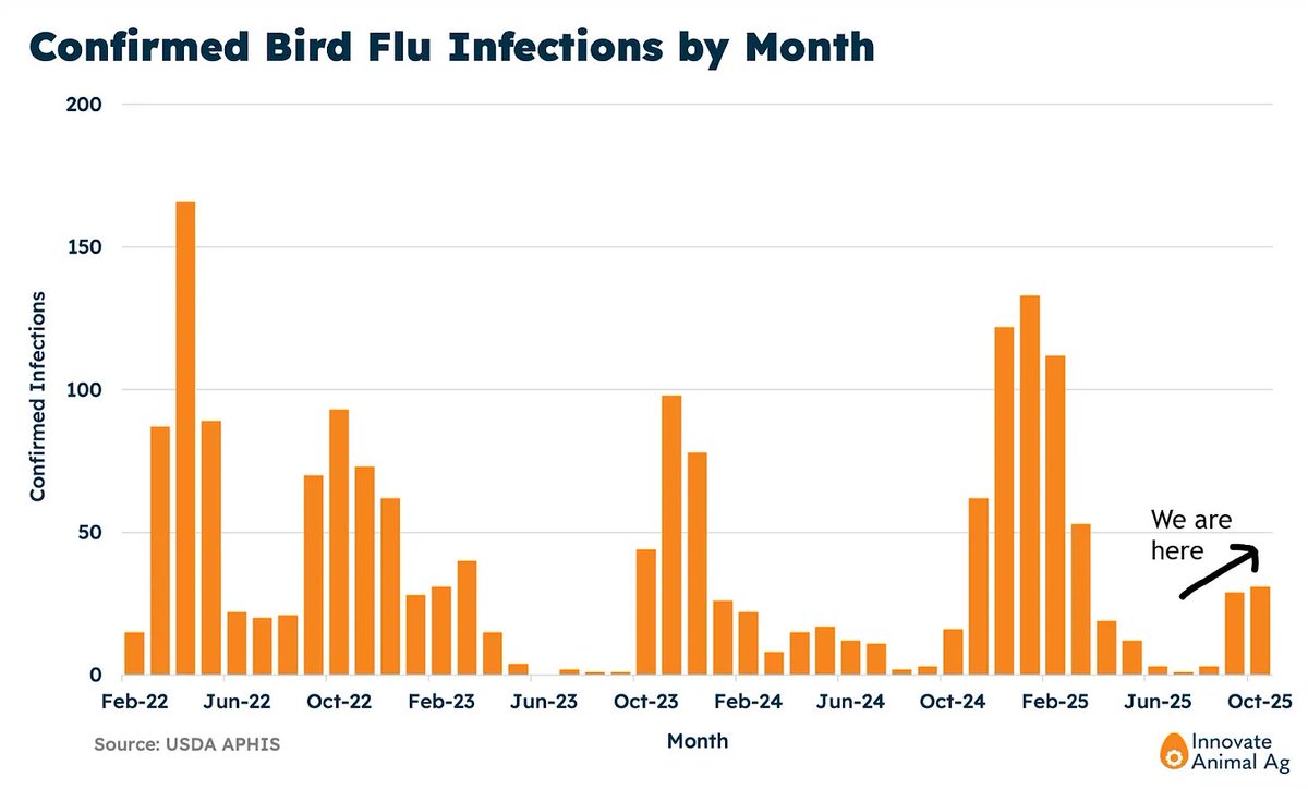 Egg prices will probably spike this winter because of bird flu.

If that's giving you deja vu, there