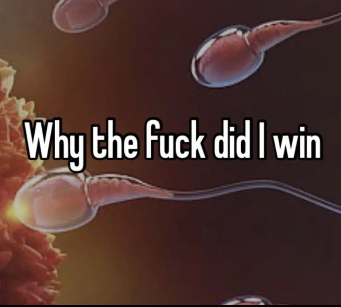 Chazza - Back (ish) (@chazzabot) on Twitter photo 