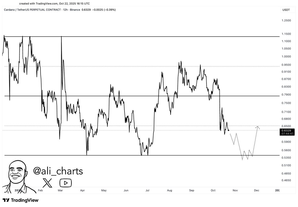 Ali Charts tweet media