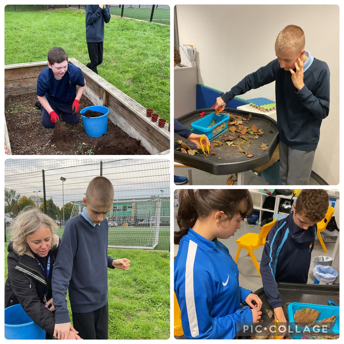 Dosbarth Melyn enjoying some autumnal activities and gardening 🍁🍂🪏🪴