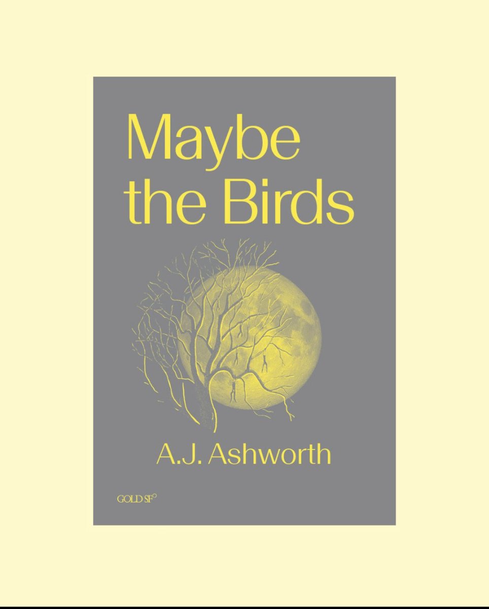 GoldSF_Books's tweet photo. Just published!

Maybe the Birds by AJ Ashworth.

@mitpress @GoldsmithsPress #Sf #FeministSF https://t.co/9kAqVDbRIQ