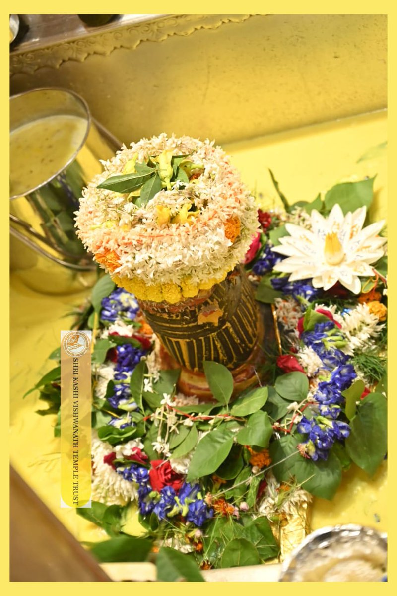 ShriVishwanath's tweet photo. श्री काशी विश्वनाथ जी की सप्तऋषि आरती I
#kashivishwanath #kashi #sanatandharma #banaras https://t.co/CvZl0viq2V
